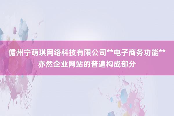 儋州宁萌琪网络科技有限公司**电子商务功能**亦然企业网站的普遍构成部分