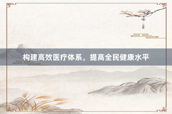 构建高效医疗体系,提高全民健康水平