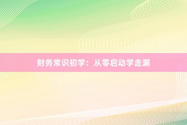 财务常识初学:从零启动学走漏