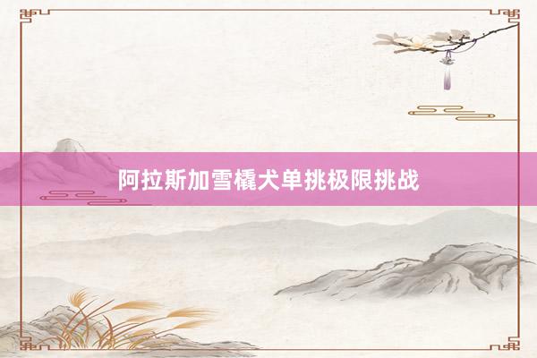 阿拉斯加雪橇犬单挑极限挑战